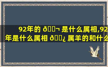 92年的 🐬 是什么属相,92年是什么属相 🌿 属羊的和什么属相zui
配、相克